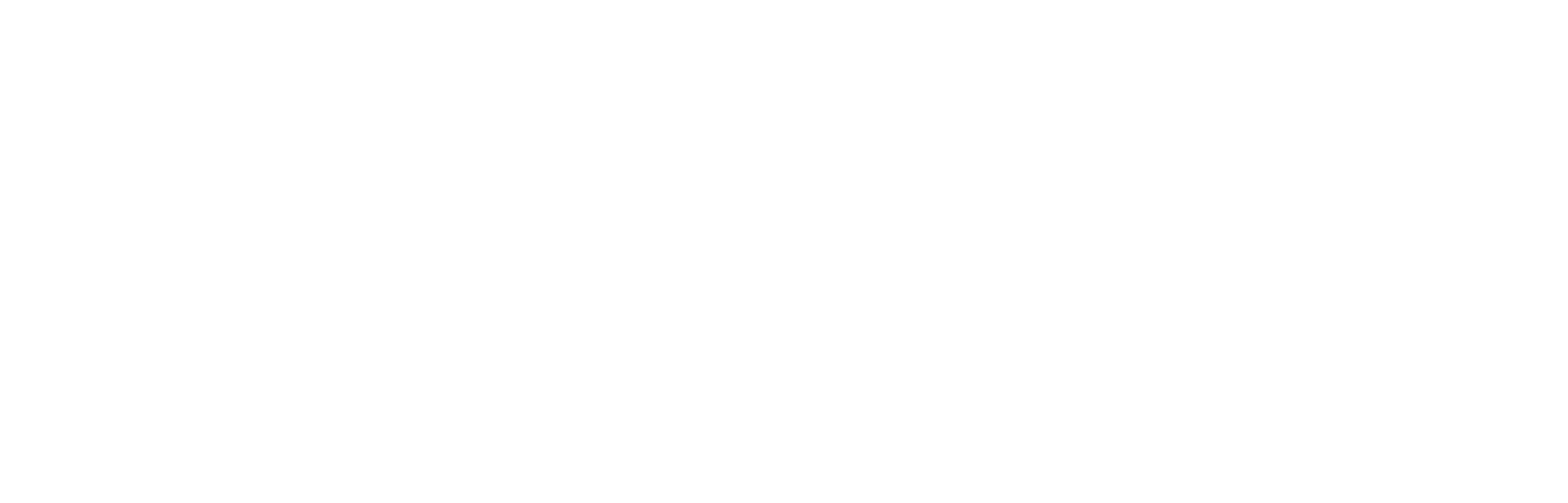 logo_ELECTI-05